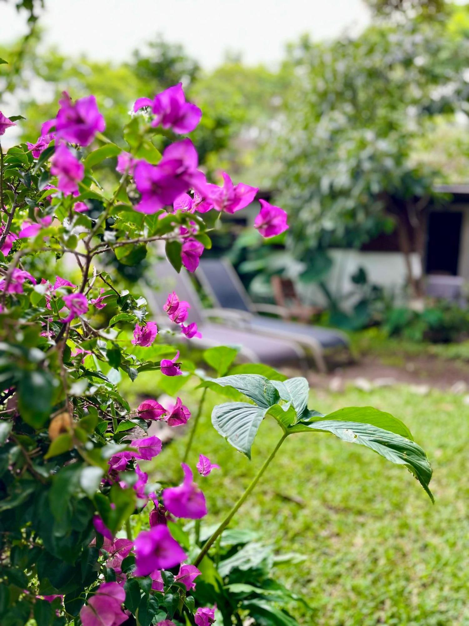 Hostal Antigueeno Antigua Dış mekan fotoğraf