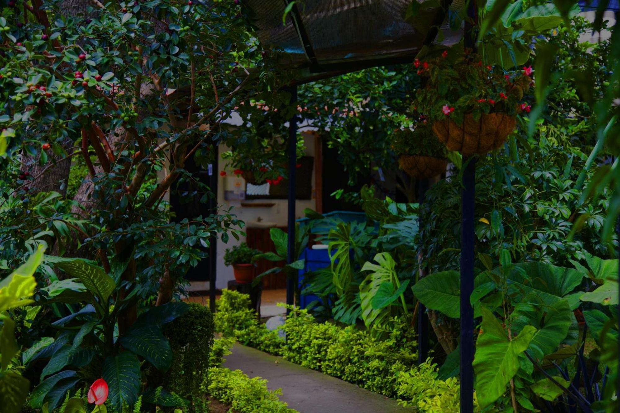 Hostal Antigueeno Antigua Dış mekan fotoğraf